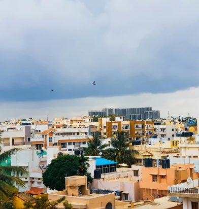 pexels-photo-1276133